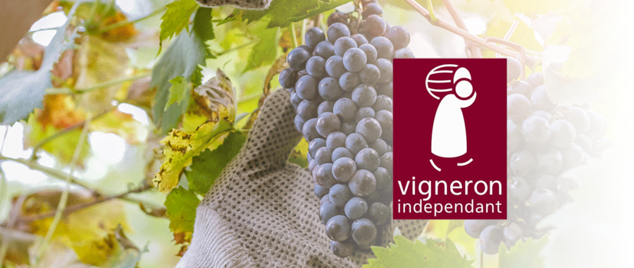 Header-publication-VigneronIndépendant
