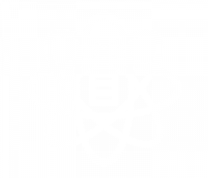 noun_Data_2307991